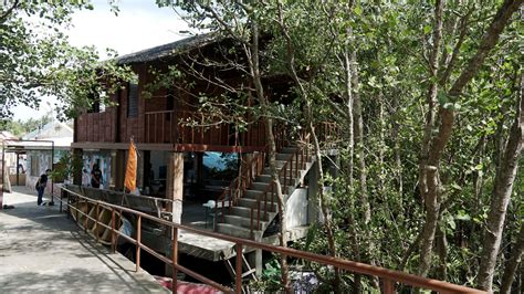 silonay calapan city|Silonay Mangrove Conservation Eco.